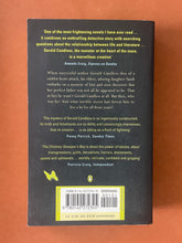 Load image into Gallery viewer, The Chimney Sweeper's Boy by Barbara Vine: photo of the back cover which sows very minor scuff marks and very minor scratches.