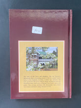 Load image into Gallery viewer, The Ladies of Saumarez by Anne Philp: photo of the back cover.