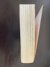 Load image into Gallery viewer, The Deposition of Father Mcgreevy by Brian O'Doherty (Paperback, 2002)