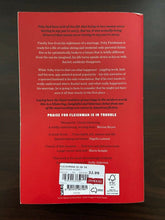 Load image into Gallery viewer, Fleishman is in Trouble by Taffy Brodesser-Akner (Paperback, 2019)