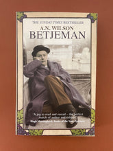 Load image into Gallery viewer, tjeman by A. N. Wilson: photo of the front cover.