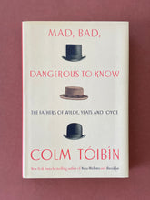 Load image into Gallery viewer, Mad, Bad, Dangerous to Know by Colm Toibin: photo of the front cover which shows very minor (barely visible) scuff marks and scratches on the dust jacket.