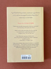 Load image into Gallery viewer, Mad, Bad, Dangerous to Know by Colm Toibin: photo of the back cover which shows very minor scuff marks and scratches.