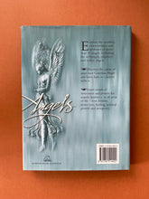 Load image into Gallery viewer, The Book of Angels by Francis Melville: photo of the back cover which shows minor scuff marks along the edges of the dust jacket.