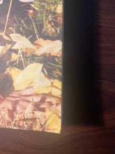 Load image into Gallery viewer, Black Girl/White Girl by Joyce Carol Oates (Paperback, 2006)