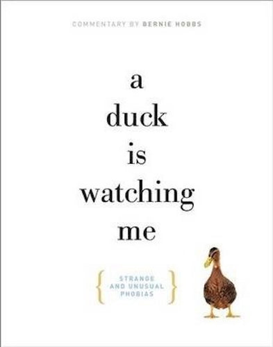 A Duck Is Watching Me by Bernie Hobbs: stock image of front cover.