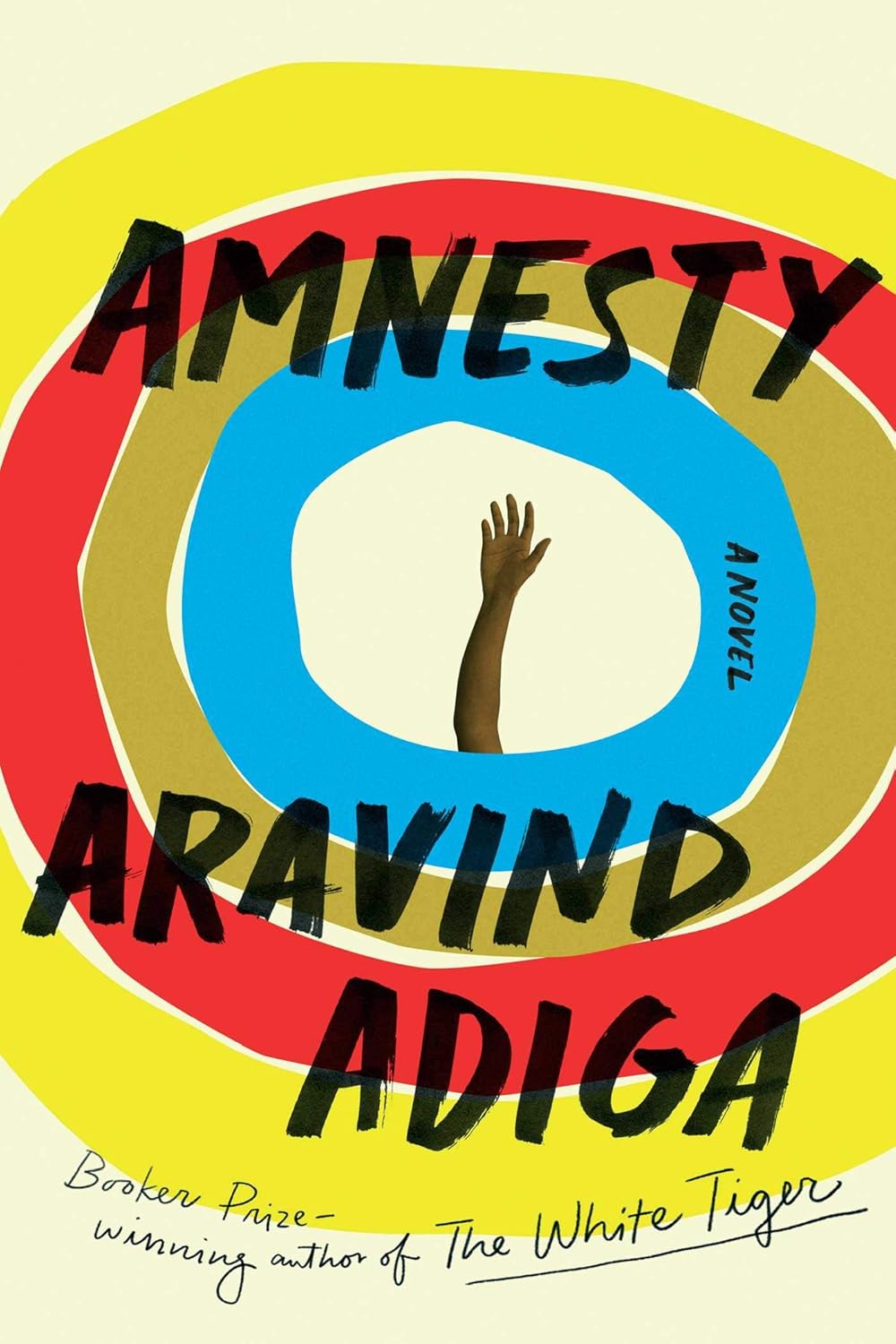 Amnesty-A Novel by Aravind Adiga: stock image of front cover.