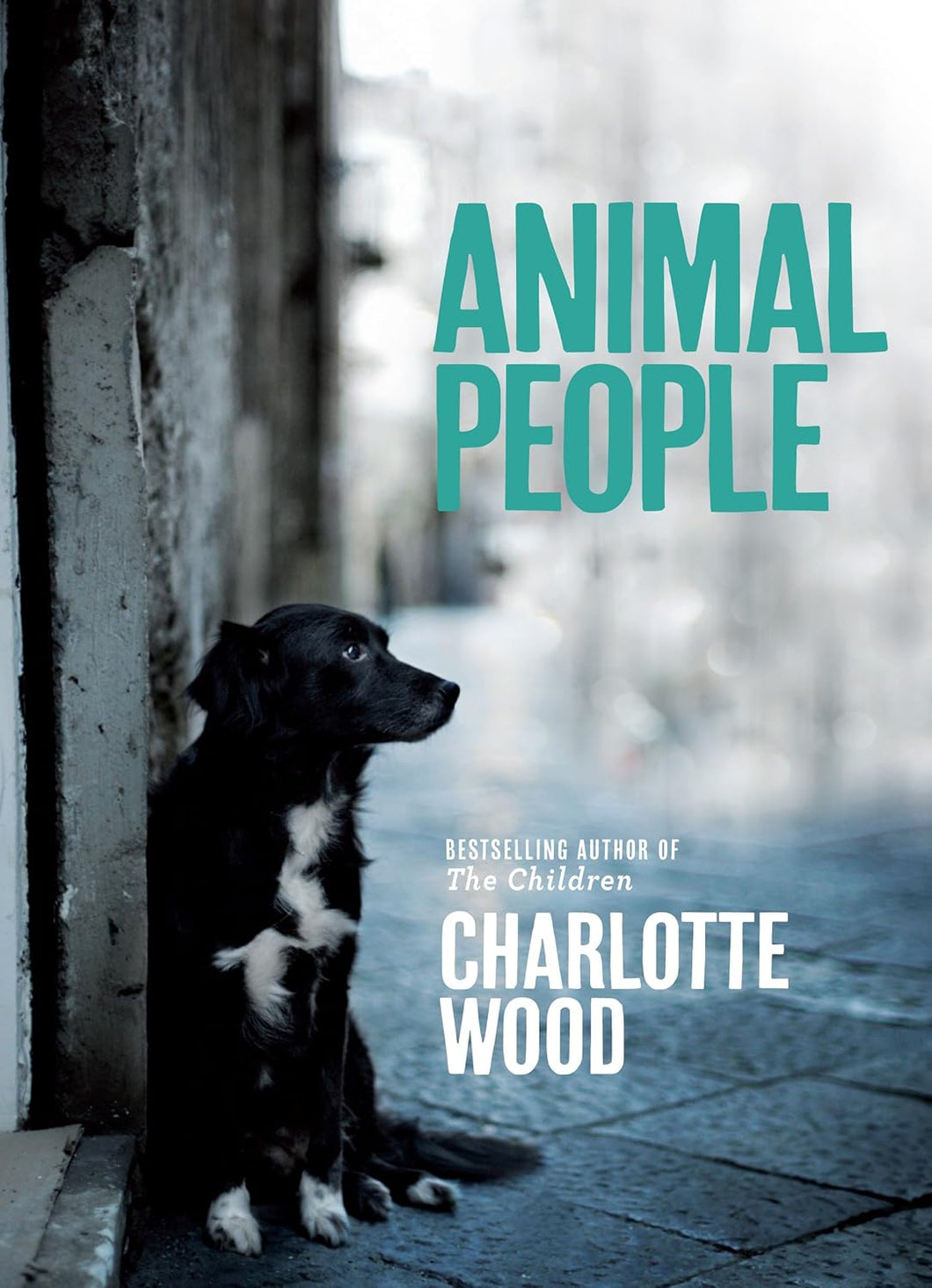 Book cover of 'Animal People' by Charlotte Wood featuring a black and white dog.
