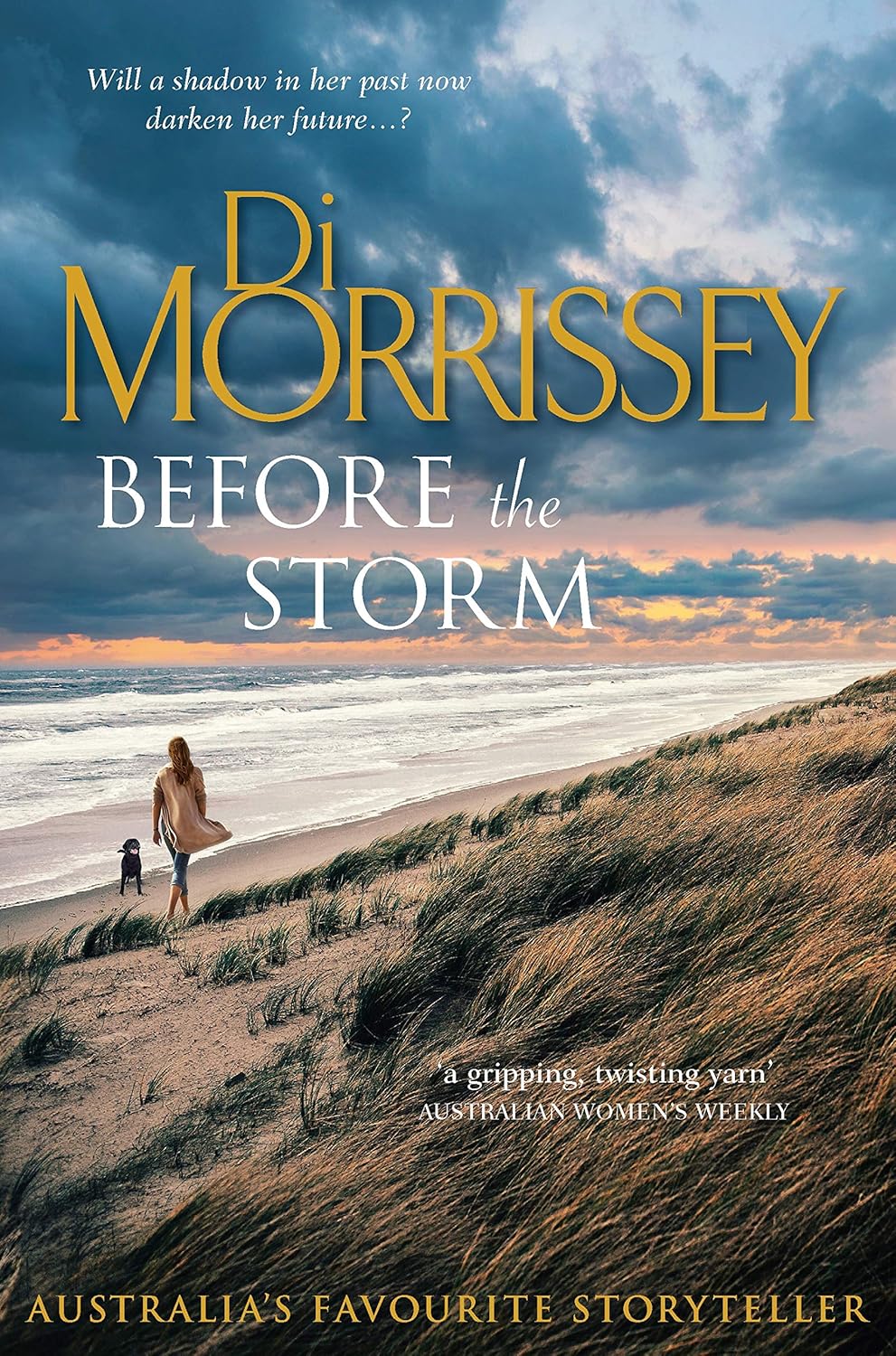 Before the Storm by Di Morrissey: stock image of front cover.