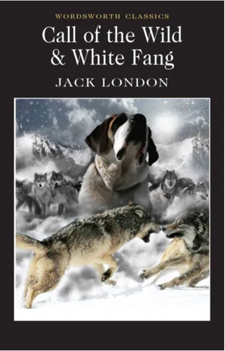 Book cover of 'Call of the Wild & White Fang' by Jack London with a dog and wolves in a snowy landscape.