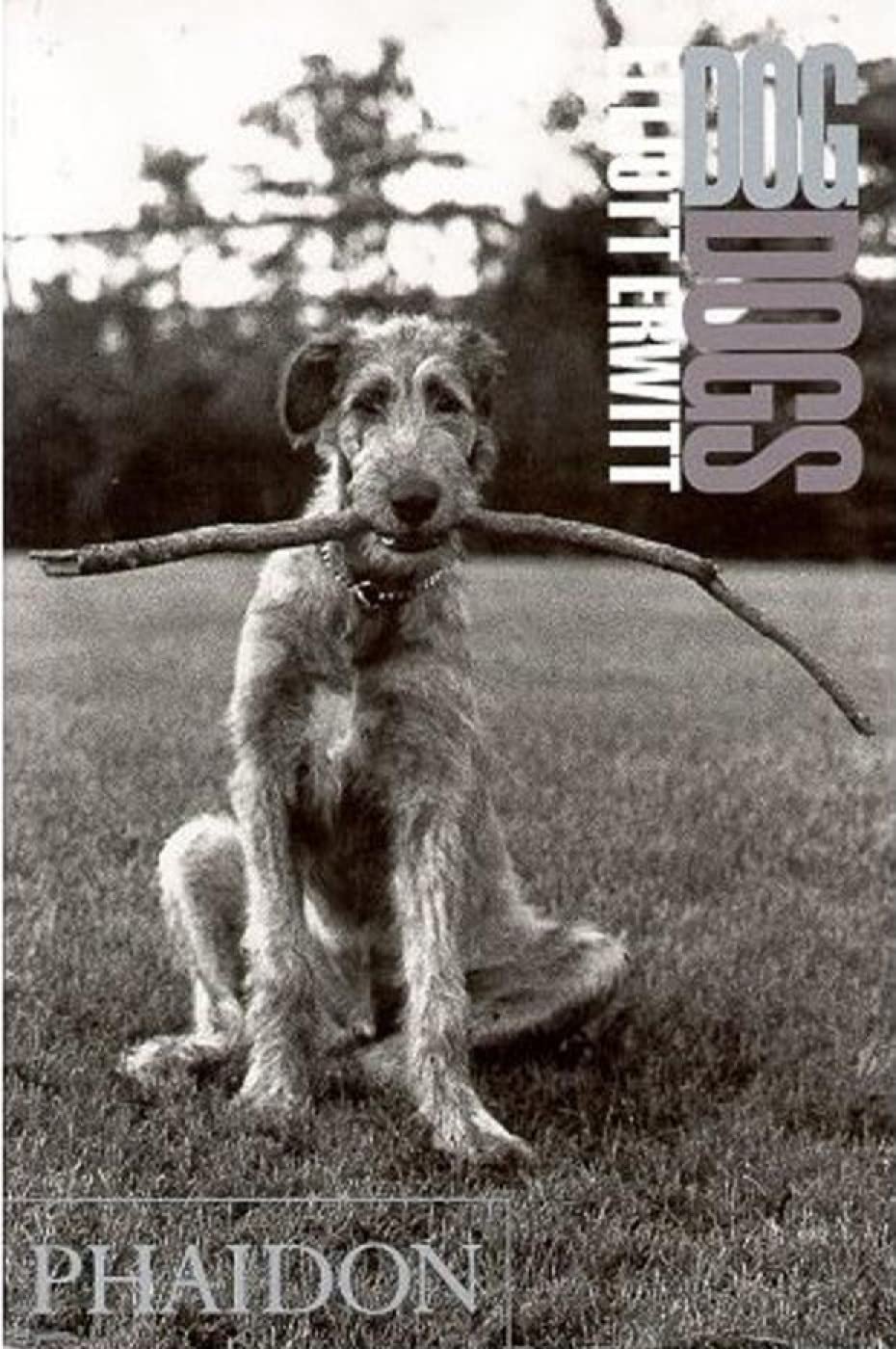 DogDogs by Elliot Erwitt: stock image of front cover.