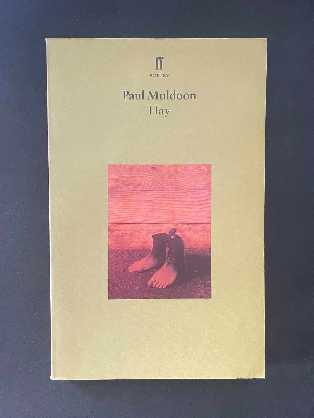 Hay by Paul Muldoon (Paperback, 1998)