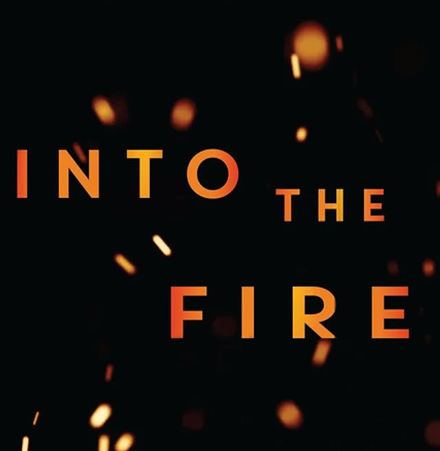 Into the Fire by Sonia Orchard: stock image of front cover.