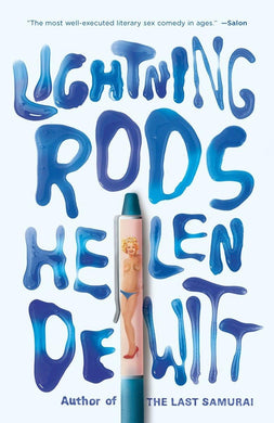 Lightning Rods by Helen DeWitt: stock image of front cover.