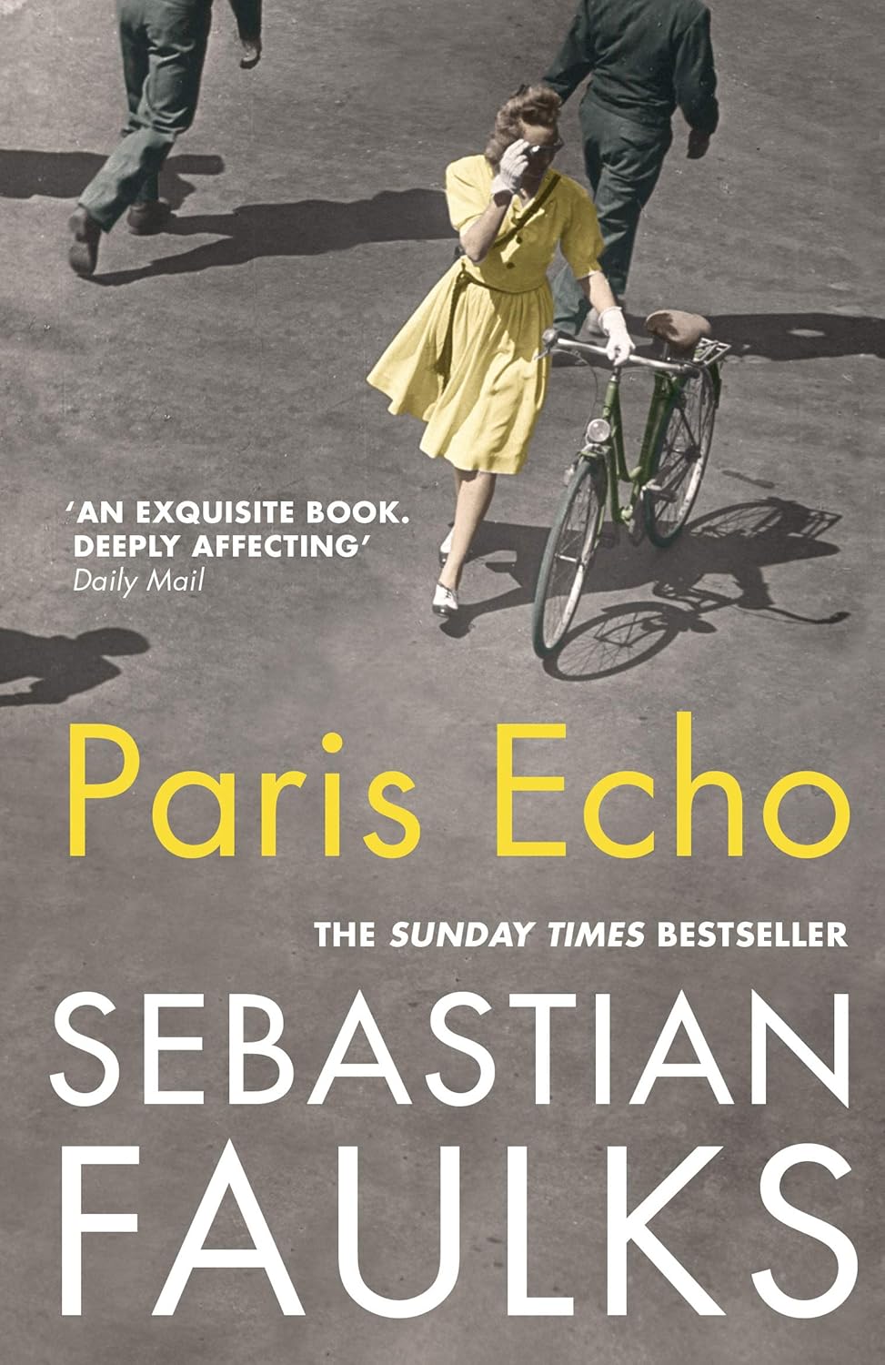 Paris Echo by Sebastian Faulks: stock image of front cover.