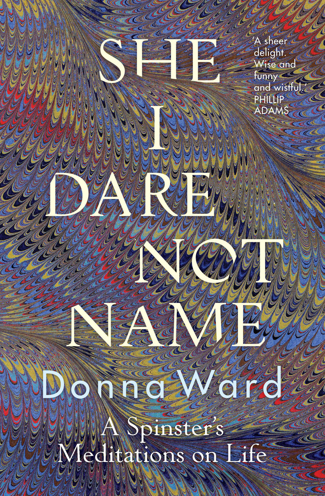 She I Dare Not Name by Donna Ward: stock image of front cover.