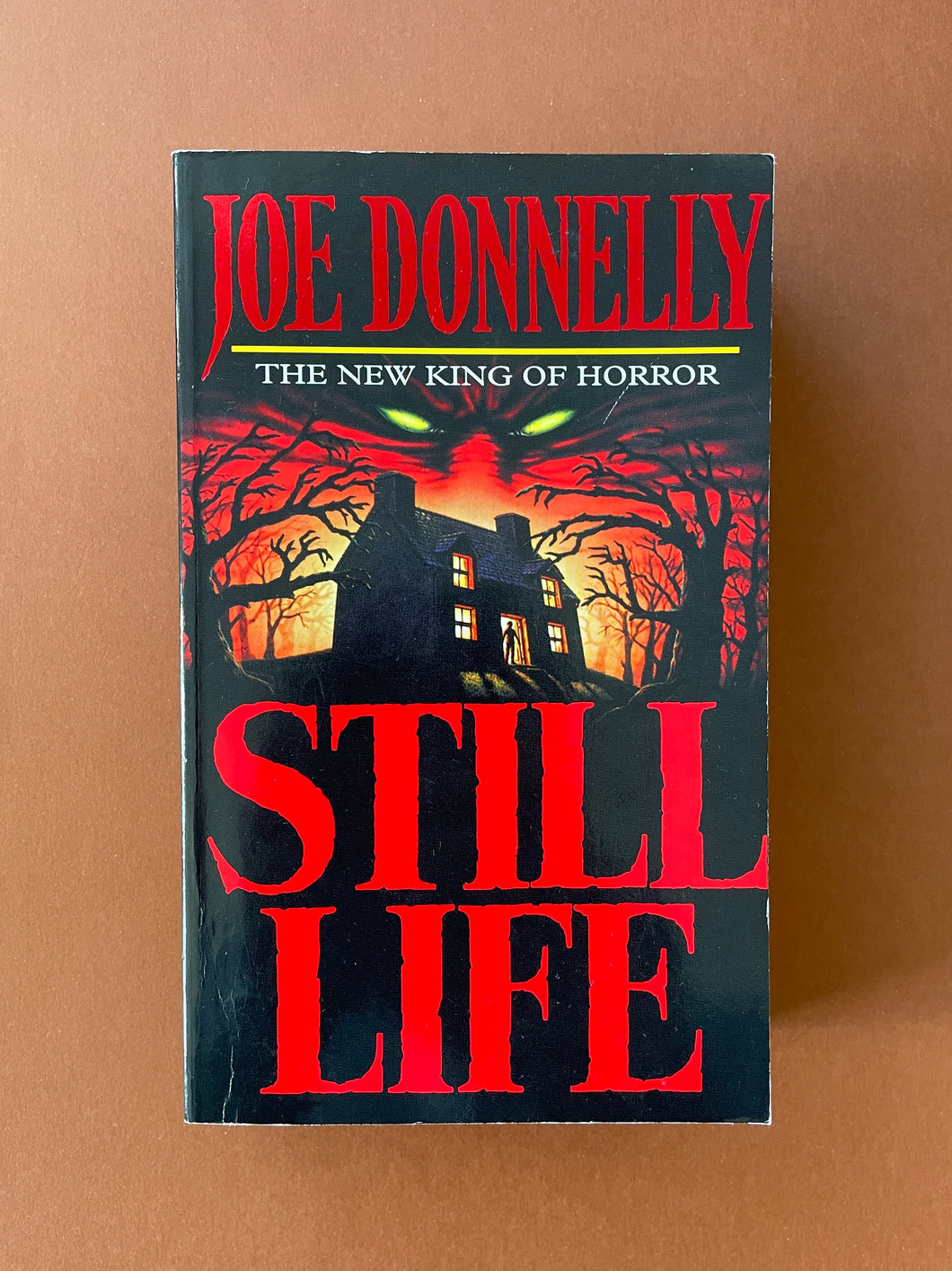 Still Life by Joe Donnelly: photo of the front cover which shows very minor scuff marks and creasing along the edges.
