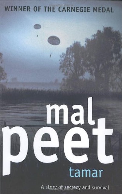 Tamar by Mal Peet: stock image of front cover.