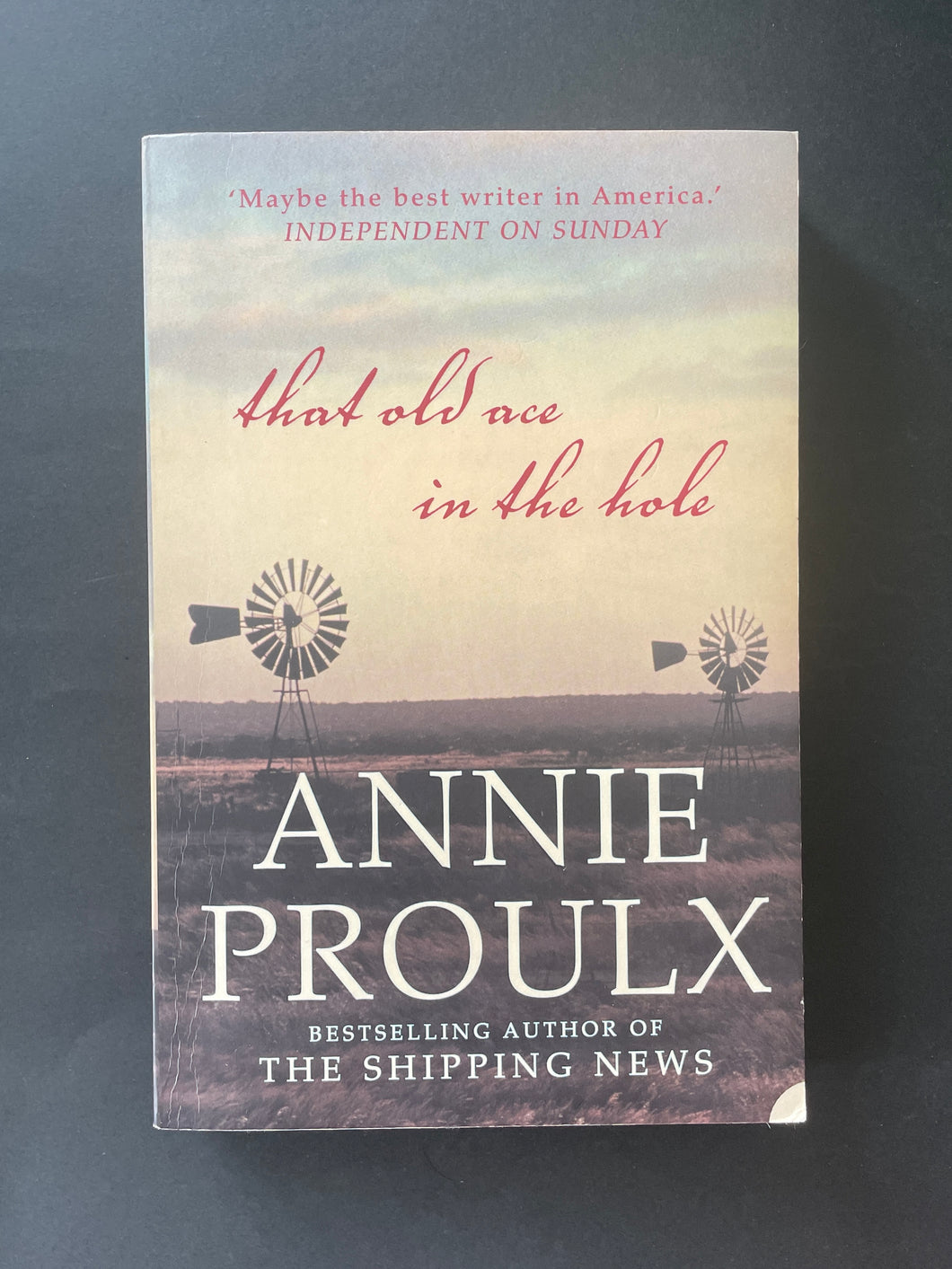 That Old Ace in the Hole by Annie Proulx:photo of the front cover which shows a tiny scuff marks on the bottom-right corner.
