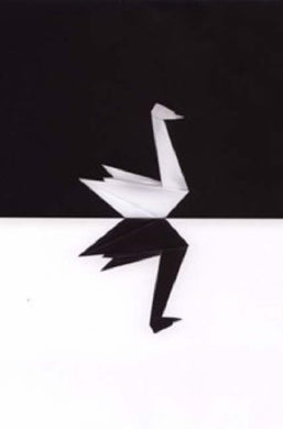 The Black Swan by Nassim Nicholas Taleb: stock image of front cover.