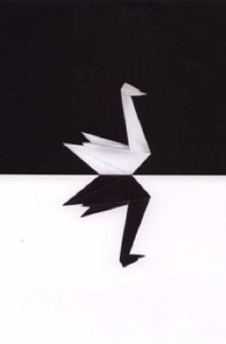 The Black Swan by Nassim Nicholas Taleb: stock image of front cover.