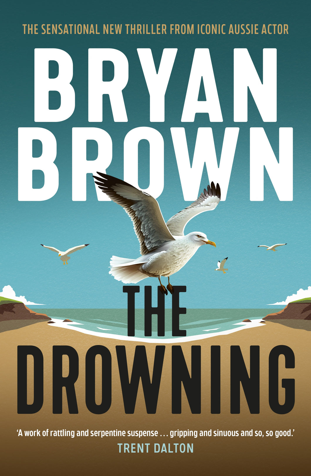 Book cover of 'The Drowning' by Bryan Brown with a seagull on a beach.