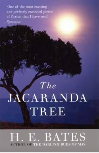 The Jacaranda Tree by H. E. Bates: stock image of front cover.