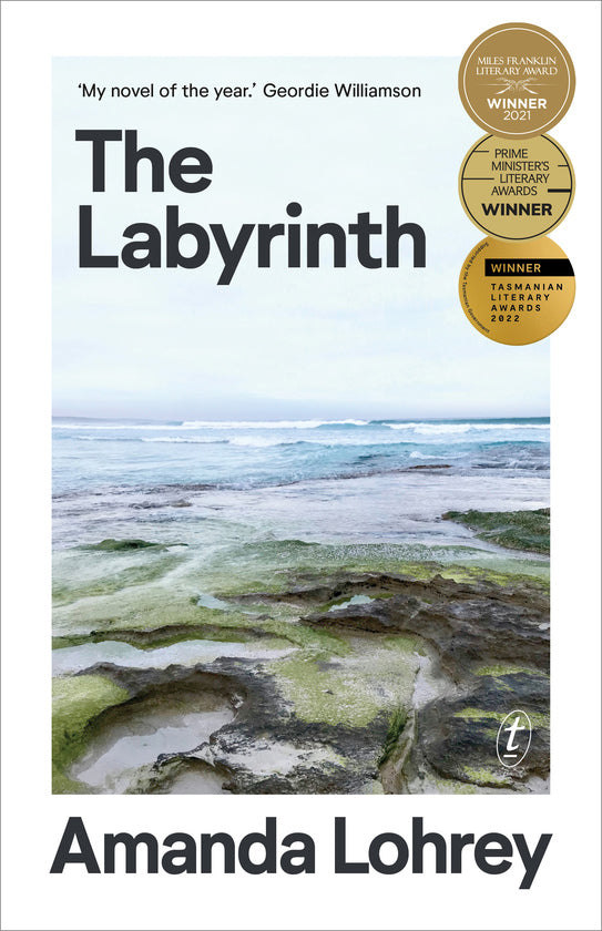 The Labyrinth by Amanda Lohrey: stock image of front cover.