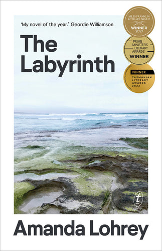 The Labyrinth by Amanda Lohrey: stock image of front cover.