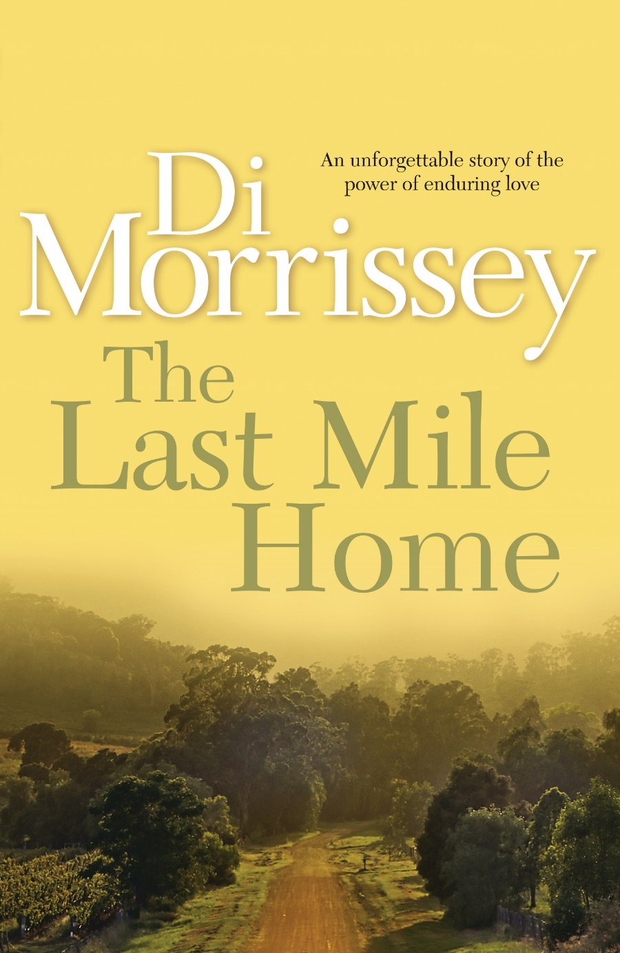 The Last Mile Home by Di Morrissey: stock image of front cover.