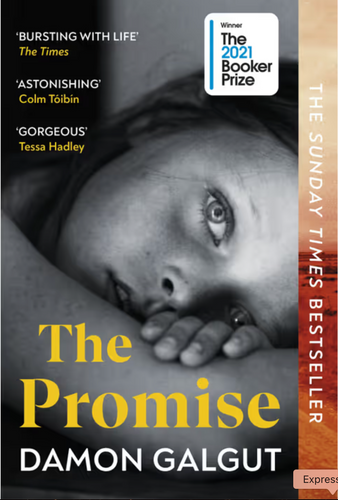 Book cover of 'The Promise' by Damon Galgut with critical acclaim text and Booker Prize badge.