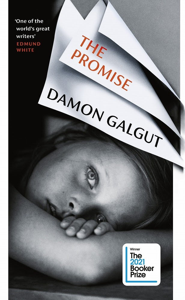 The Promise by Damon Galgut: stock image of front cover.