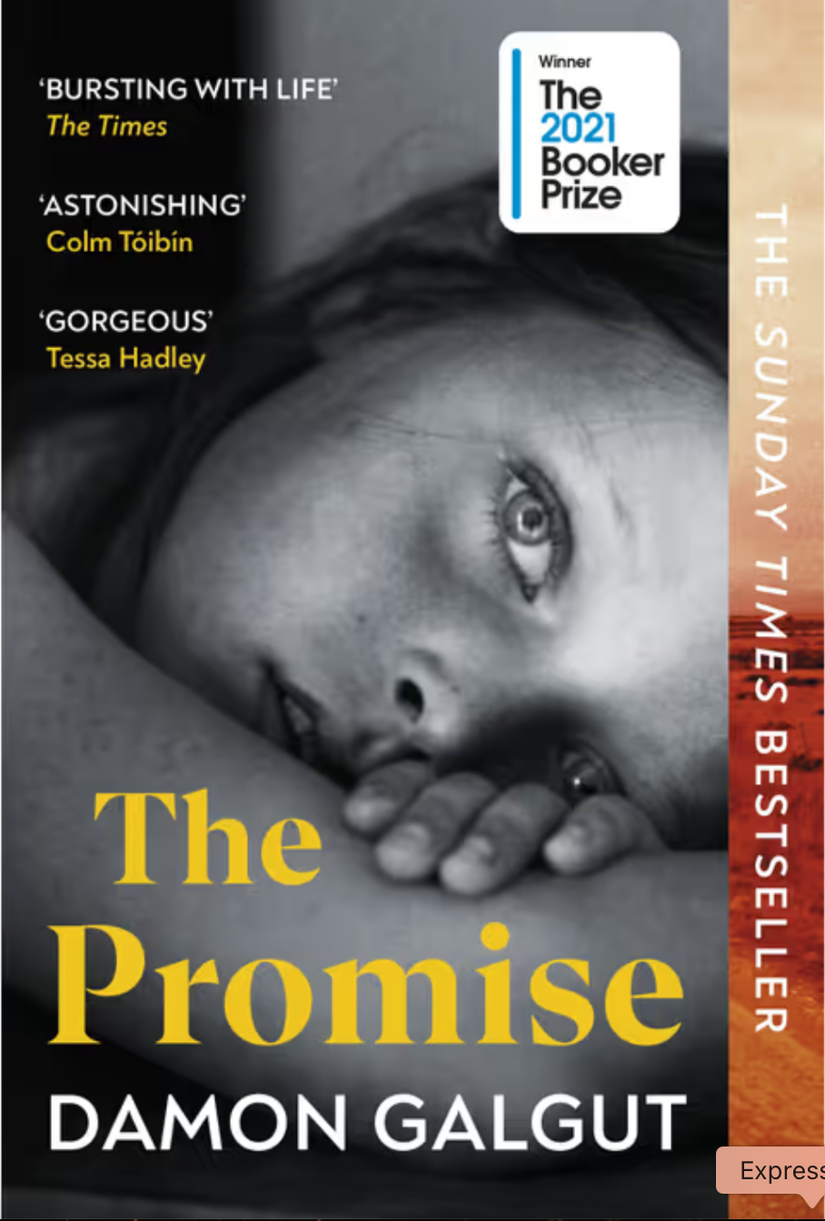 Book cover of 'The Promise' by Damon Galgut with critical acclaim text and Booker Prize badge.