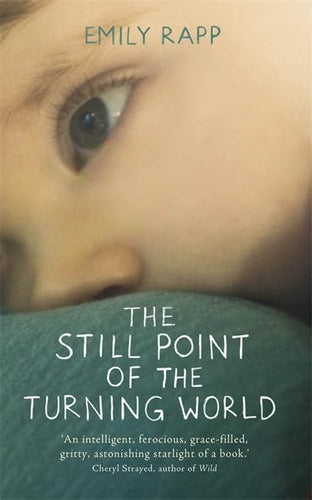 The Still Point of the Turning World by Emily Rapp: stock image of front cover.