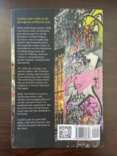Load image into Gallery viewer, Graffiti Lane: A Poetry Collection by Kelly Van Nelson (Paperback, 2019)

