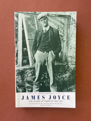 James Joyce by Peter Costello: photo of the front cover which shows very minor scuff marks along the edges.