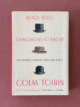 Load image into Gallery viewer, Mad, Bad, Dangerous to Know by Colm Toibin: photo of the front cover which shows very minor (barely visible) scuff marks and scratches on the dust jacket.
