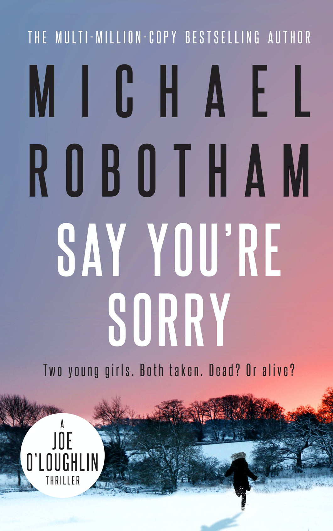 Say You're Sorry by Michael Robotham: stock image of front cover.