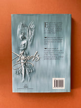 Load image into Gallery viewer, The Book of Angels by Francis Melville: photo of the back cover which shows minor scuff marks along the edges of the dust jacket.
